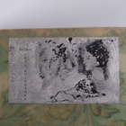 The Burlington Fine Arts Club : Exhibition of Japanese an... - pikkukuva 3