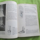FYSIOLOGIAN JA ANATOMIAN PERUSTEET - nienstedt . hänninen,.. - pikkukuva 4