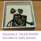 KALEVALA TALONSYDÄN -korvakorut, pronssi, tapit - pikkukuva 1