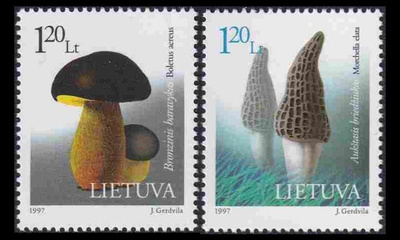 Liettua 649-50 ** Sieniä (1997)