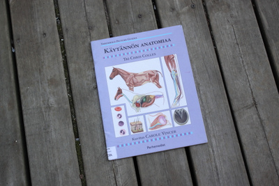 Chris Colles Käytännön anatomiaa #6