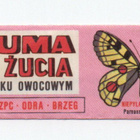 Purkkakääre GUMA DO ZUCIA O SMAKU OWOCOWYM - pikkukuva 1