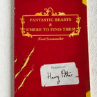 Quidditch trough the Ages & Fantastic Beasts - pikkukuva 3