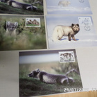 WWF Eläin postikortit 7 kpl Merkkeineen Puhtaat , 1993 - pikkukuva 3