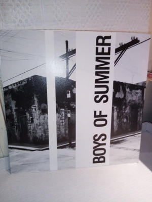 7" single BOYS OF SUMMER : Only the wind / Caribbean night