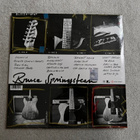 BRUCE SPRINGSTEEN / BEST OF 2LP - pikkukuva 2