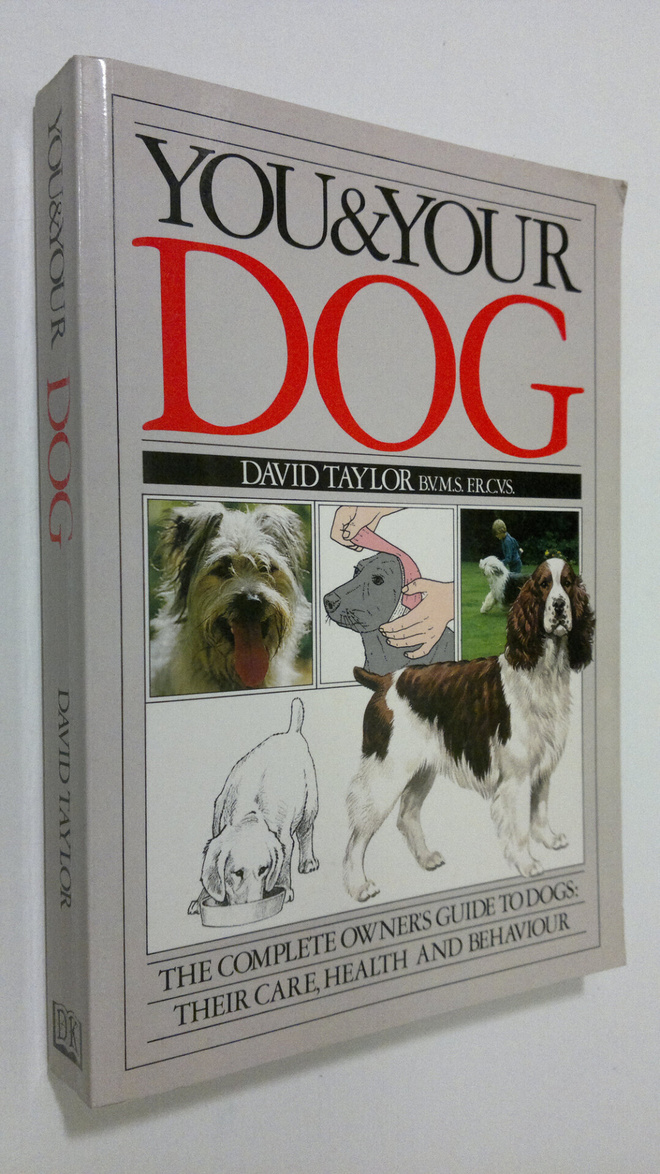 David Taylkor : You and your dog