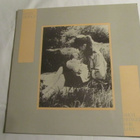 Kevin Hewick: Such Hunger For Love    LP   1983 - pikkukuva 1