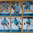 2025-26 Blueline Series 2 Pelicans Team Set 12 korttia - pikkukuva 1