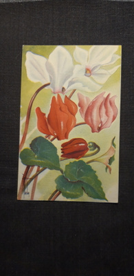 Inga Fagerholm tyylikäs kukkakortti nro 164/10 , v. 1951