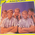 The Beach Boys: 1962-1965 2LP - pikkukuva 1