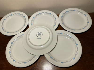 Arabia Arctica Rosette lautaset 17 cm