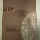 Visakoivuista ja niiden anatomiasta - pikkukuva 2