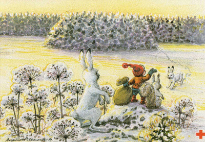 MARJA - LIISA  PITKÄRANTA  KAKSIOSAINEN POSTIKORTTI