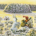 MARJA - LIISA  PITKÄRANTA  KAKSIOSAINEN POSTIKORTTI - pikkukuva 1