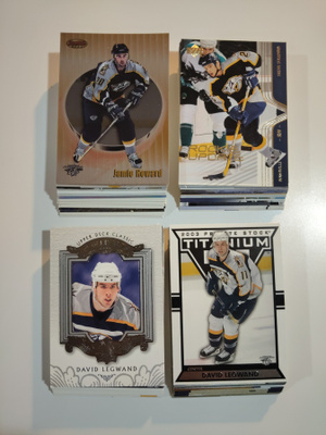 Nashville Predators 100kpl