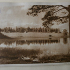 Järvimaisema, rantaa kesäiltana (Poutvaara), mv pk, ei p. - pikkukuva 1