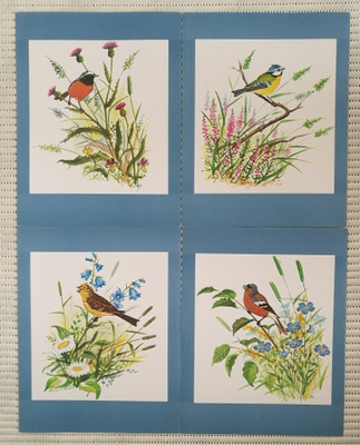 Taidejuliste/art print, 4 kpl lintuja ja niittykukkia
