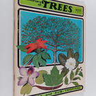 Fred Walden : Dictionary of Trees : Florida And Sub-tropical - pikkukuva 1