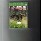 Dianan poluilla – Hirvijahdissa – DVD - pikkukuva 1