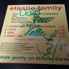 VEETI AND THE ELASTIC FAMILY CDS KOKO BÄNDIN NIMMAREILLA - pikkukuva 2