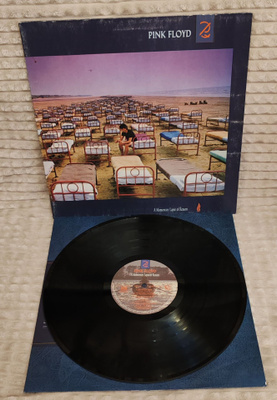 Pink Floyd A Momentary Lapse Of Reason lp