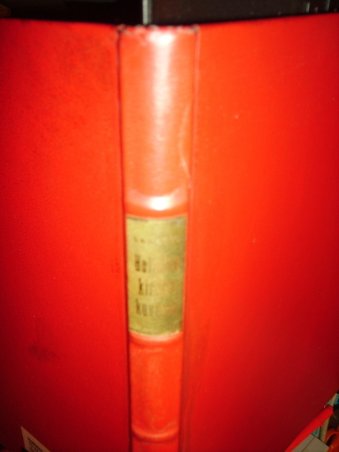 HOLLOLAN KIRKKO KUVISSA NUMER. BIBLIOFIILIPAINOS (Sis.pk:t)