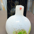 Iittala-Nuutajärvi, Oiva Toikka, Tunturissa Talvipullo sig. - pikkukuva 2