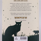 Erin Hunter : Soturikissat: Erikoisseikkailu: Tiikerisydä... - pikkukuva 2