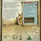 [DVD] SHREK - pikkukuva 2