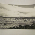 VANHA Postikortti Pello Lappi 1950-l Alkup.Mallikappale - pikkukuva 1