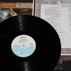 Jethro Tull - Broadsword and the Beast LP - pikkukuva 4