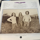 Lazarus: Fool’s Paradise (Bearsville Records 1973) LP - pikkukuva 2