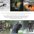 Jere Malinen : Metsästysvuosi - pikkukuva 2
