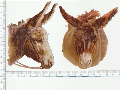 * Aasit, 2 vanhaa kuvaa, 12,5x9cm  *