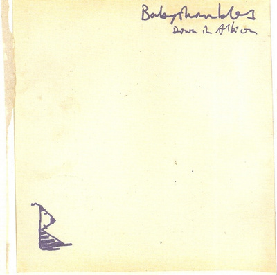 Babyshambles: Down In Albion CD