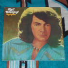 NEIL DIAMOND Rainbow ~ LP - pikkukuva 1