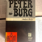 Andrei Belyi - Peterburg (sid.) - pikkukuva 2