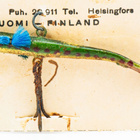 Karhu, Kuore Tasapaino No 4, 5.5cm - pikkukuva 2