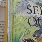 Enid Blyton - Seikkailu odottaa! (sid.) - pikkukuva 4