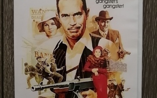 Dillinger (1973)