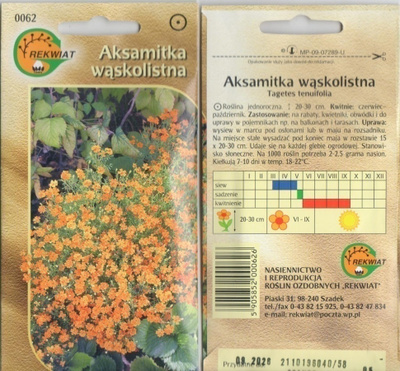 Kääpiösamettikukka "Orange Gem" siemenet #