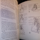 REGIONAL ANATOMY ILLUSTRATED (CHURCHILL LIVINGSTONE) - pikkukuva 3