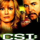 CSI :  Las Vegas  -  Kausi 7  -  (6 DVD) - pikkukuva 1