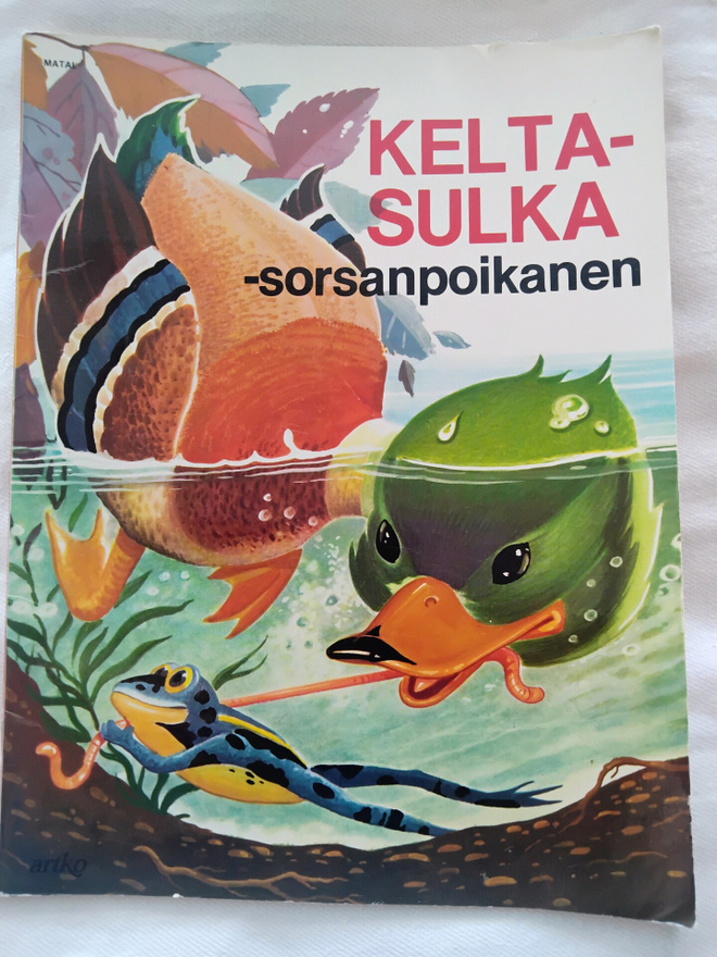 Keltasulka - sorsanpoikanen