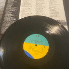 Randy Newman: Land of Dreams (1988) LP - pikkukuva 3