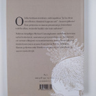 Michael Cunningham : Villijoutsenet ja muita kertomuksia - pikkukuva 2