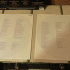 prince and the new power generation 2lp: Love Symbol - pikkukuva 3