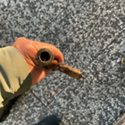 Pitka käsitussari lupavapaa semmottinen - pikkukuva 5