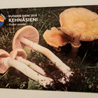 Kehnäsienet, vuoden 2010 sieni, kulkematon - pikkukuva 1
